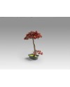 BUJIN-HI - BONSAI 45CM